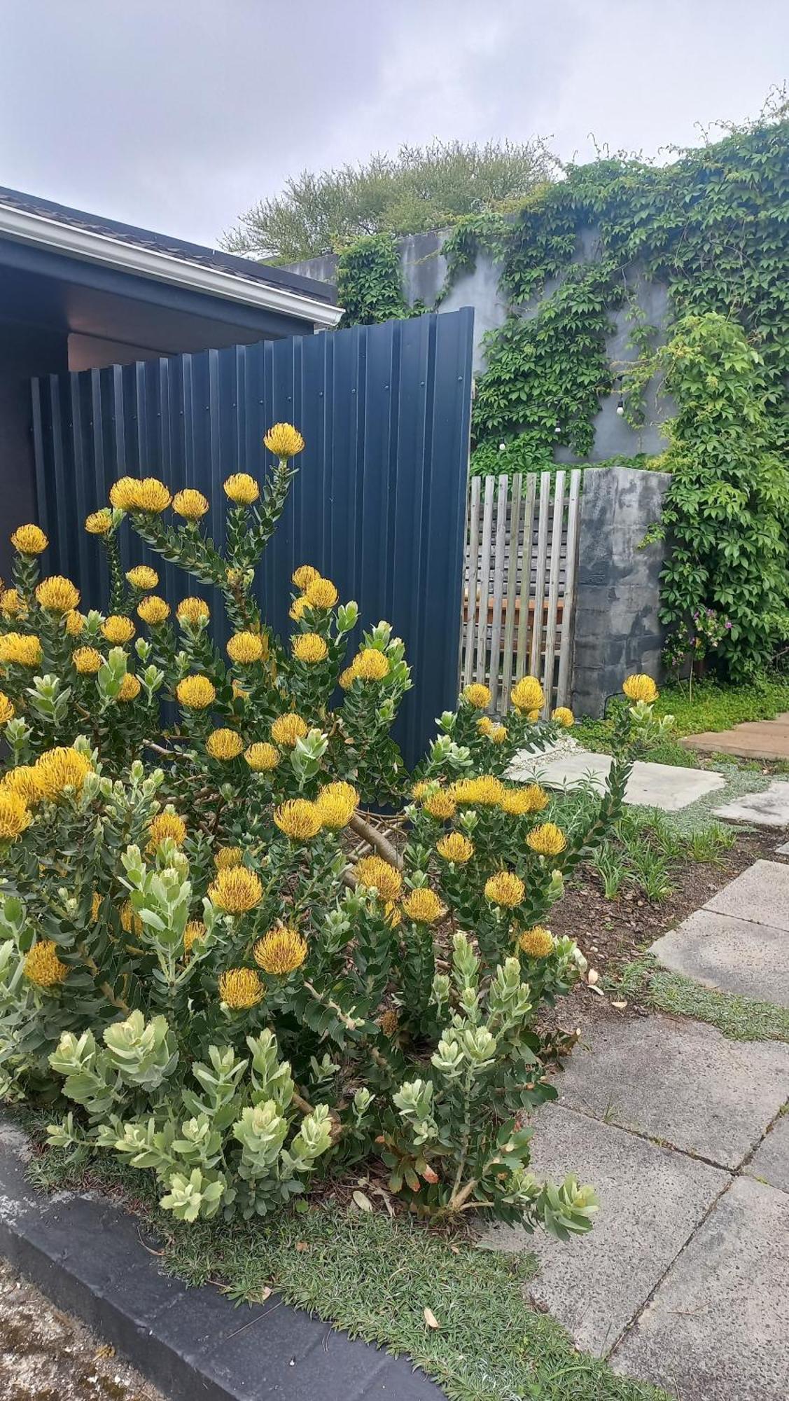 Yellow Door Hermanus Apartment Exterior photo